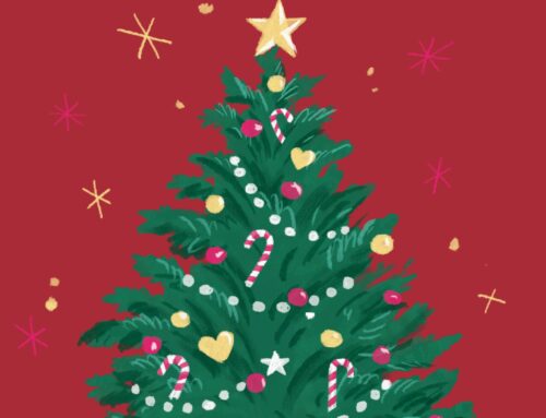 Collecte des sapins de Noël usagés