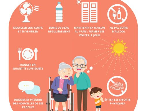 Canicule / Précautions à prendre